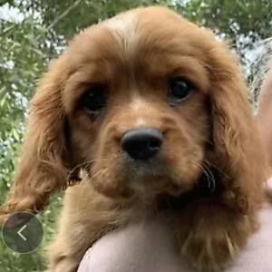 Meet your Posher, Jan